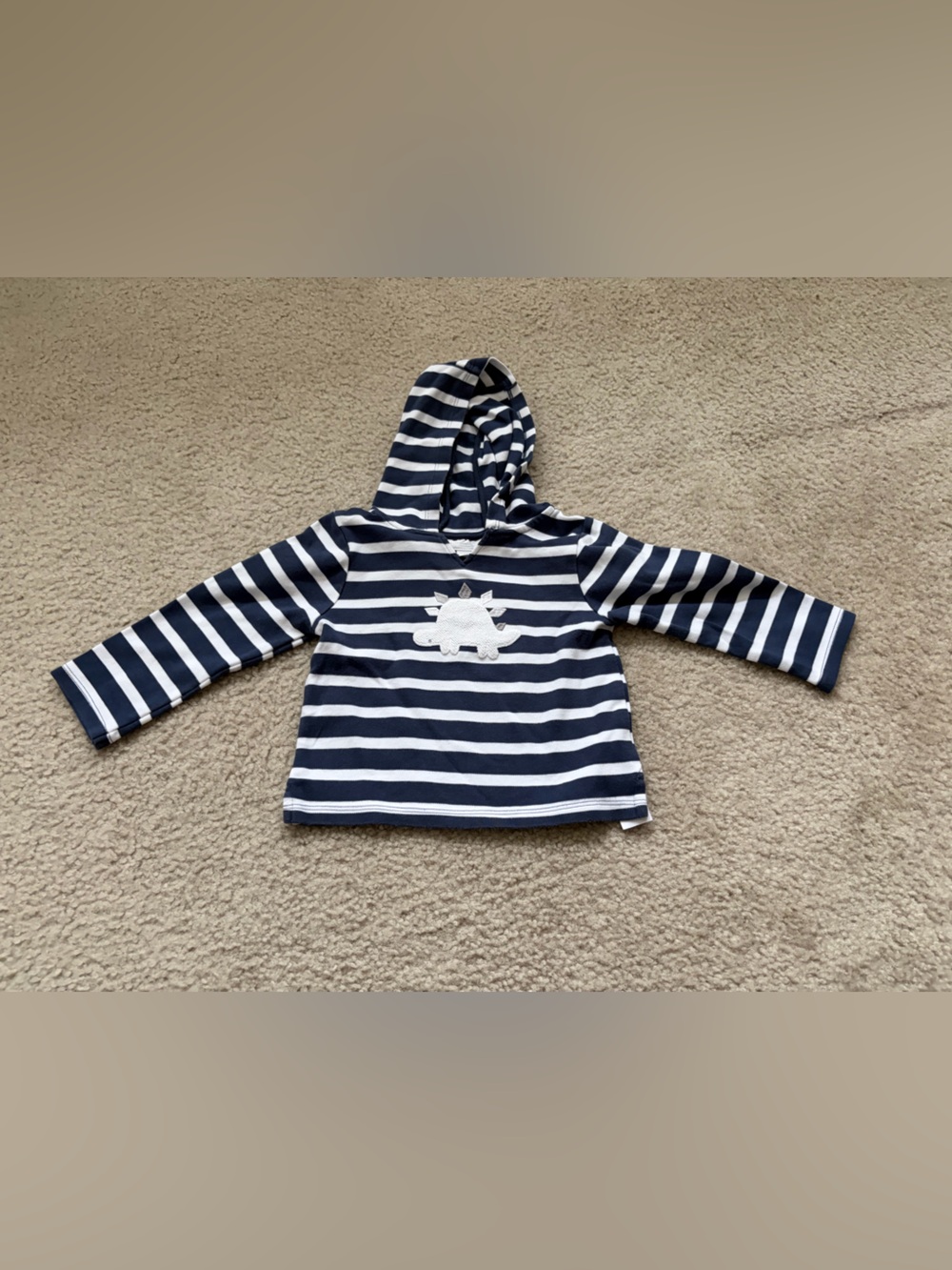Navy and White Striped Hooded Sweatshirt